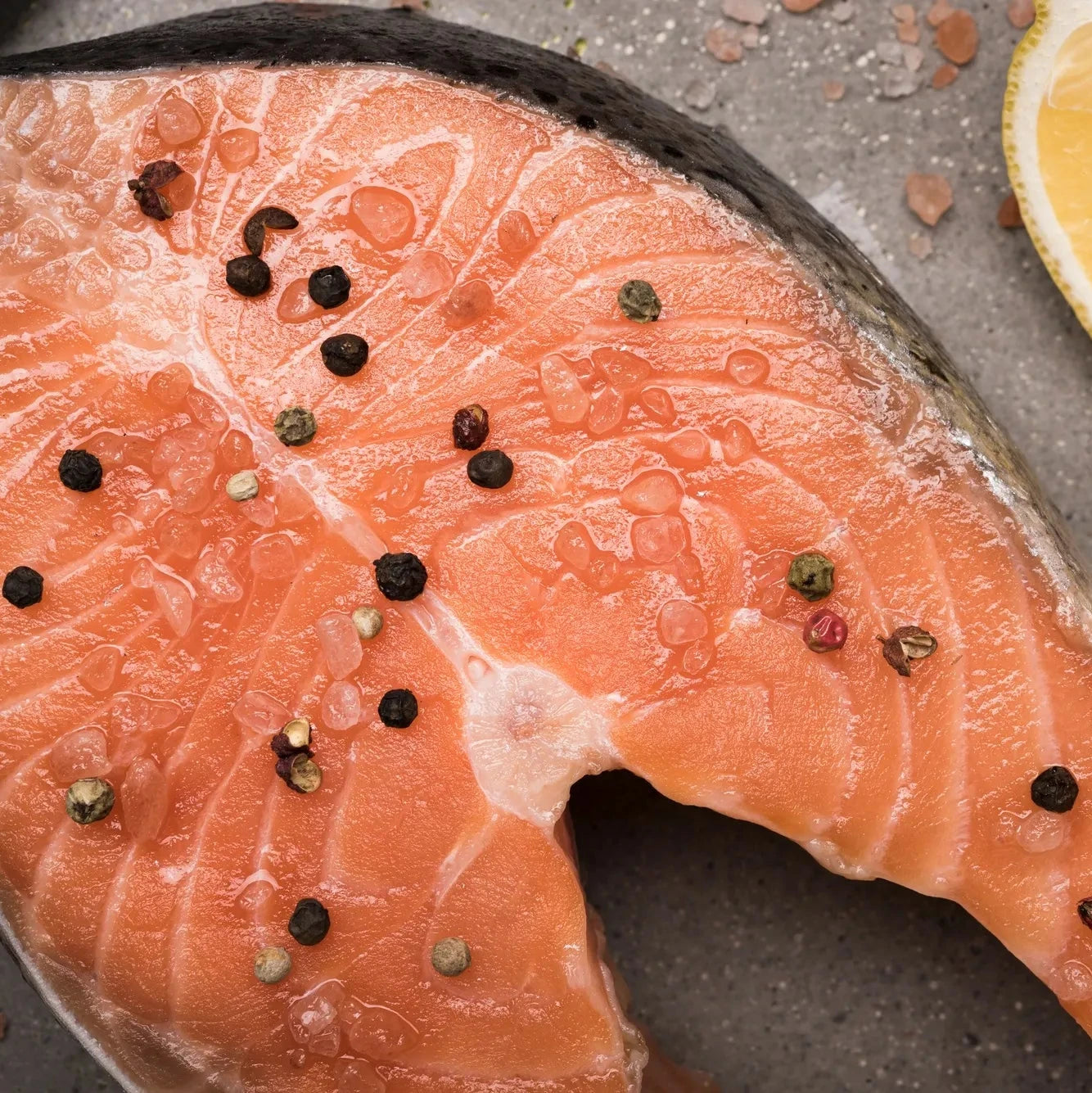 Salmon closeup